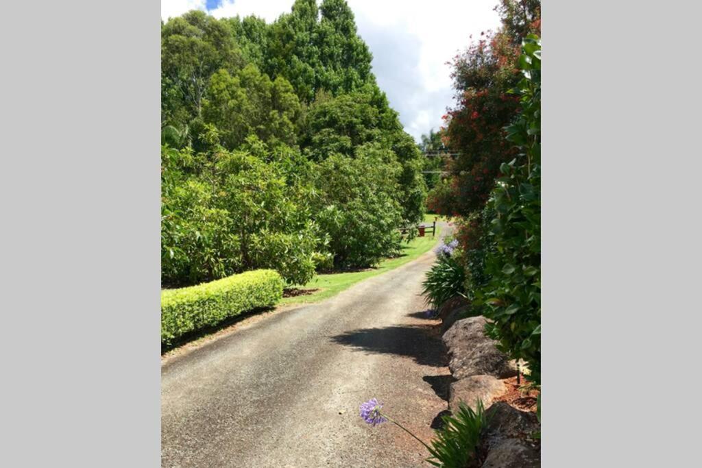 Bundara - Idyllic Getaway In The Mountains Appartement Mount Tamborine Buitenkant foto